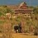 Victoria Falls Safari Lodge - 158283
