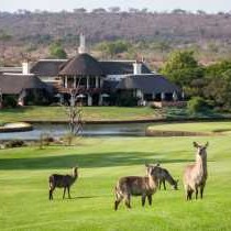 Lukimbi Safari Lodge - 158324