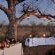 Idube Game Reserve - 158364