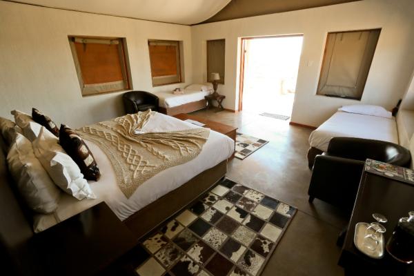 The Springbok Lodge - 158793