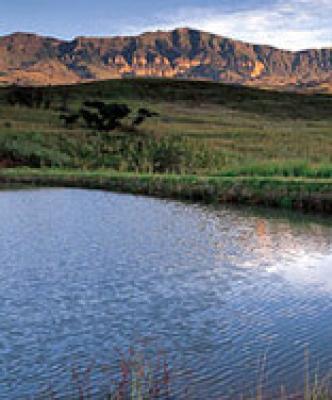 The Northern Drakensberg