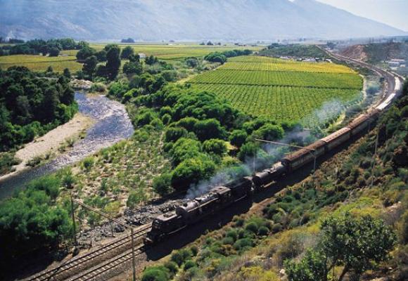 Steam Train Trips