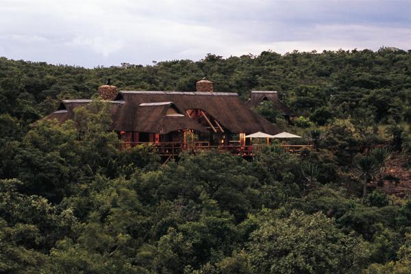 Makweti Safari Lodge - 159908