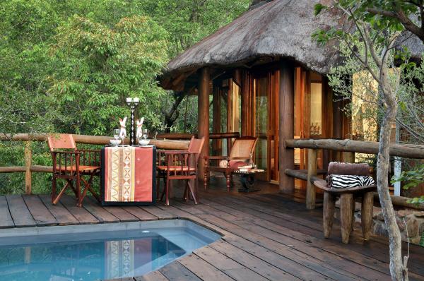 Makweti Safari Lodge - 159909