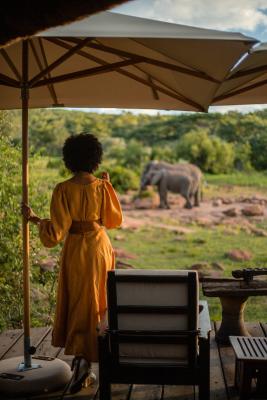 Makweti Safari Lodge - 159912