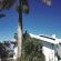 ThE LaZy ShArK - 160162 ThE LaZy ShArK - 160162