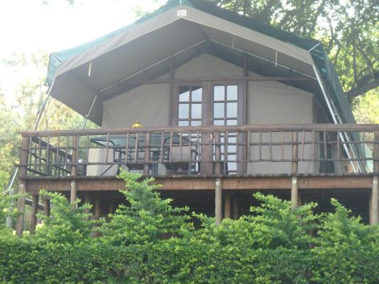 Sabie River Bush Lodge - 160376