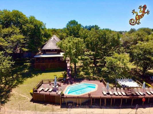 Sabie River Bush Lodge - 160382