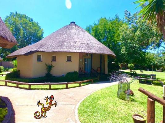 Sabie River Bush Lodge - 160389