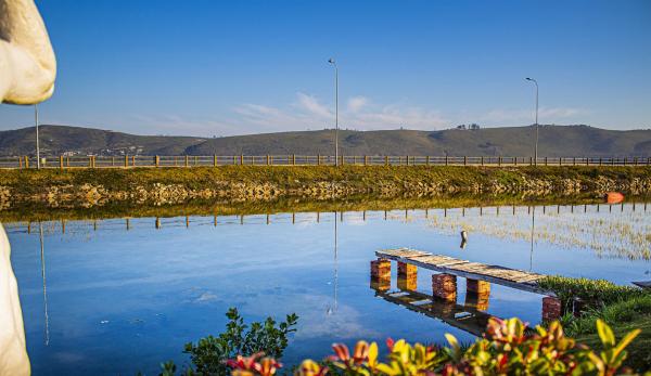 On The Estuary Knysna