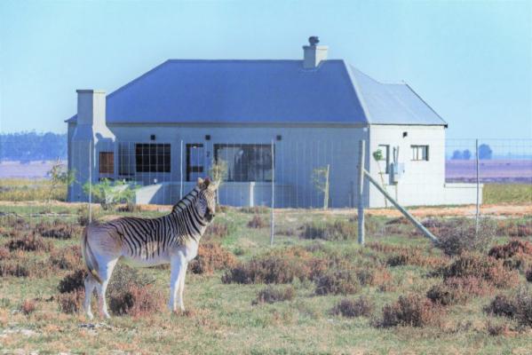 L'Ermitage Quagga Lodge - 160574