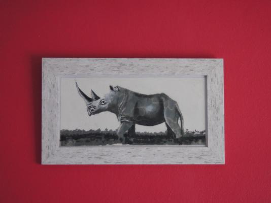 Rhino House - 160685
