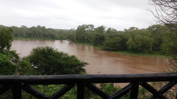 Mantuma Camp - Mkuze Game Reserve - 161119