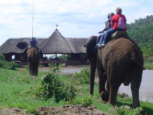 Elephant Back Safari