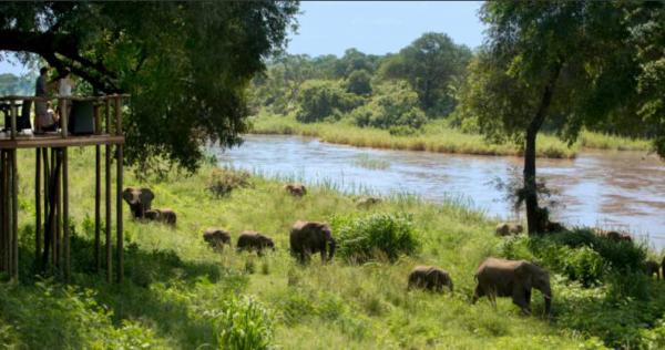 Narina Lodge - Lion Sands Game Reserve - 161484