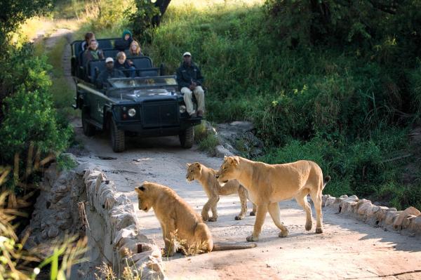 Narina Lodge - Lion Sands Game Reserve - 161491