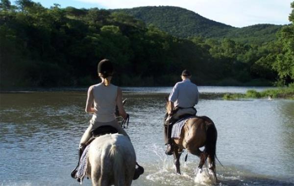 Horse Back Safaris & Trails