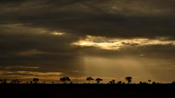 Tshukudu Bush Camp - 162426