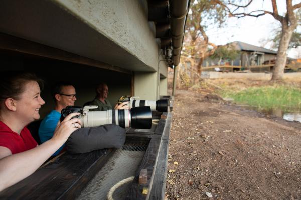 Antares Bush Camp & Safaris - 162915