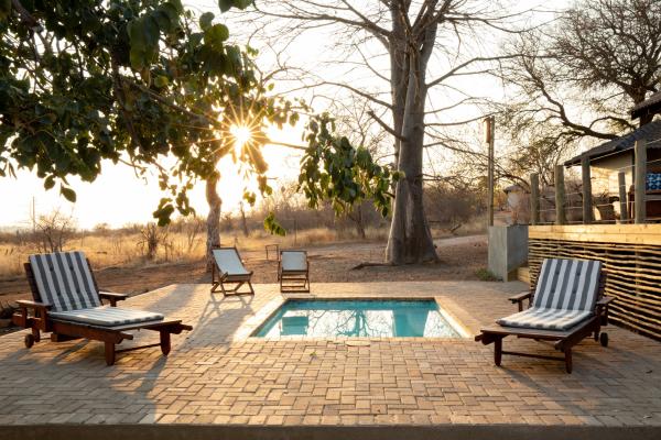 Antares Bush Camp & Safaris - 162922