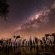 Antares Bush Camp & Safaris - 162948 Antares Bush Camp & Safaris - 162948