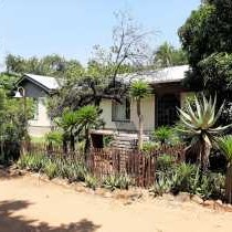 Elephant Walk Guesthouse - 163332