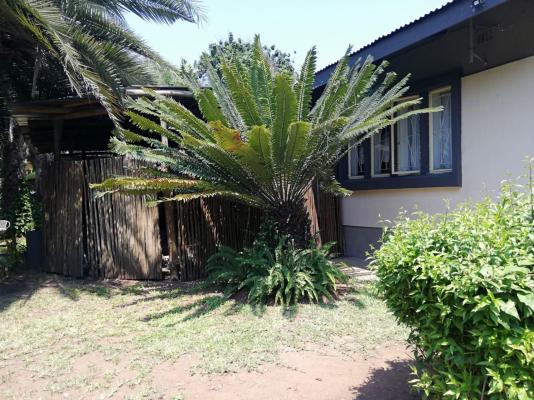 Elephant Walk Guesthouse - 163333