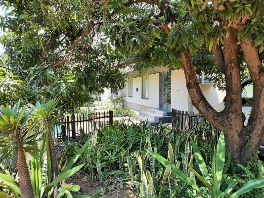 Elephant Walk Guesthouse - 163337