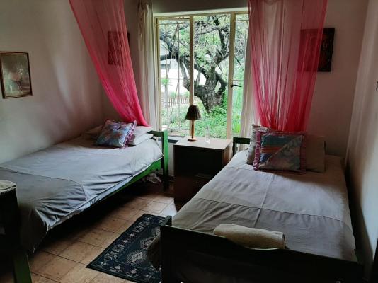 Elephant Walk Guesthouse - 163348