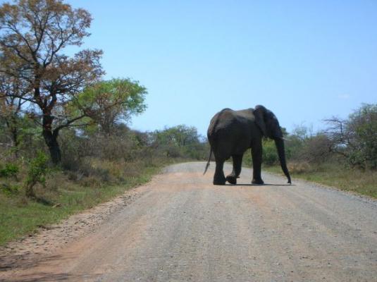 Kruger Park