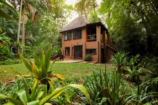 Phophonyane Falls Ecolodge and Nature Reserve - 164480