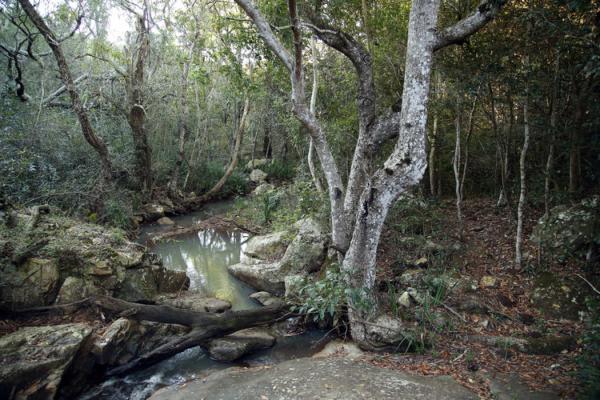 Phophonyane Falls Ecolodge and Nature Reserve - 164482