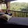 Honeywood - 164519 Honeywood - 164519