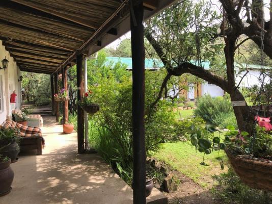 Sani Lodge Backpackers - 164829