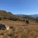 Sani Lodge Backpackers - 164832 Sani Lodge Backpackers - 164832