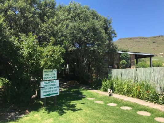 Sani Lodge Backpackers - 164834