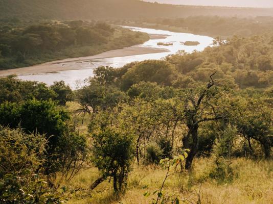 mFulaWozi Wilderness Biyela Lodge - 165034