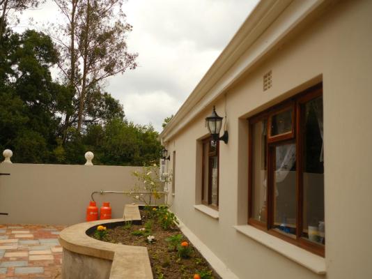 bWhale Guest House - 165043