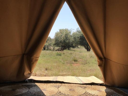 Hluhluwe Bush Camp Glamping Village - 165204