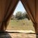 Hluhluwe Bush Camp Glamping Village - 165204