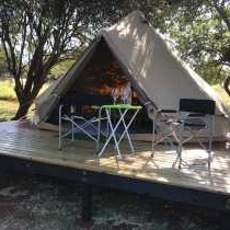 Hluhluwe Bush Camp Glamping Village - 165218