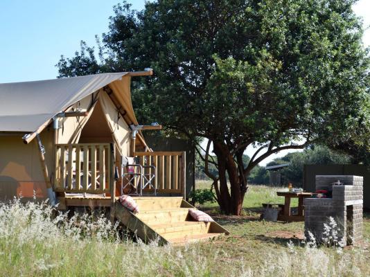 Hluhluwe Bush Camp Glamping Village - 165231