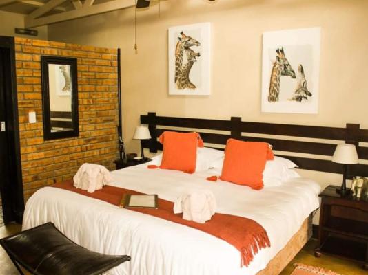 Dreamfields Guesthouse - 165609