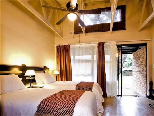 Dreamfields Guesthouse - 165611