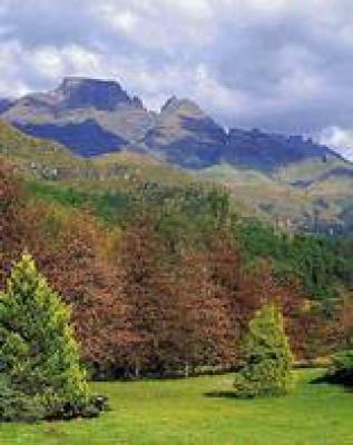 Bushmans Nek (Drakensberg)