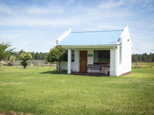 Tsitsikamma Cottages - 167151