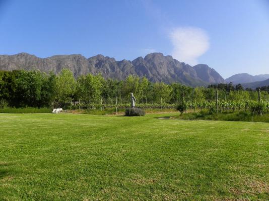 Rose Cottages - Franschhoek - 167243