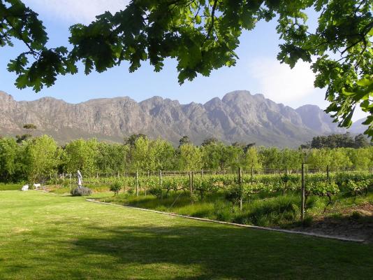 Rose Cottages - Franschhoek - 167244