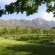Rose Cottages - Franschhoek - 167244 Rose Cottages - Franschhoek - 167244