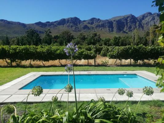 Rose Cottages - Franschhoek - 167270